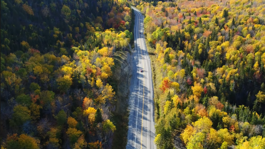 Vidéo aérienne captivante avec vue sur la magnifique forêt pour Destination Gaspé, réalisée par le drone de La Boîte FLEXIBLE