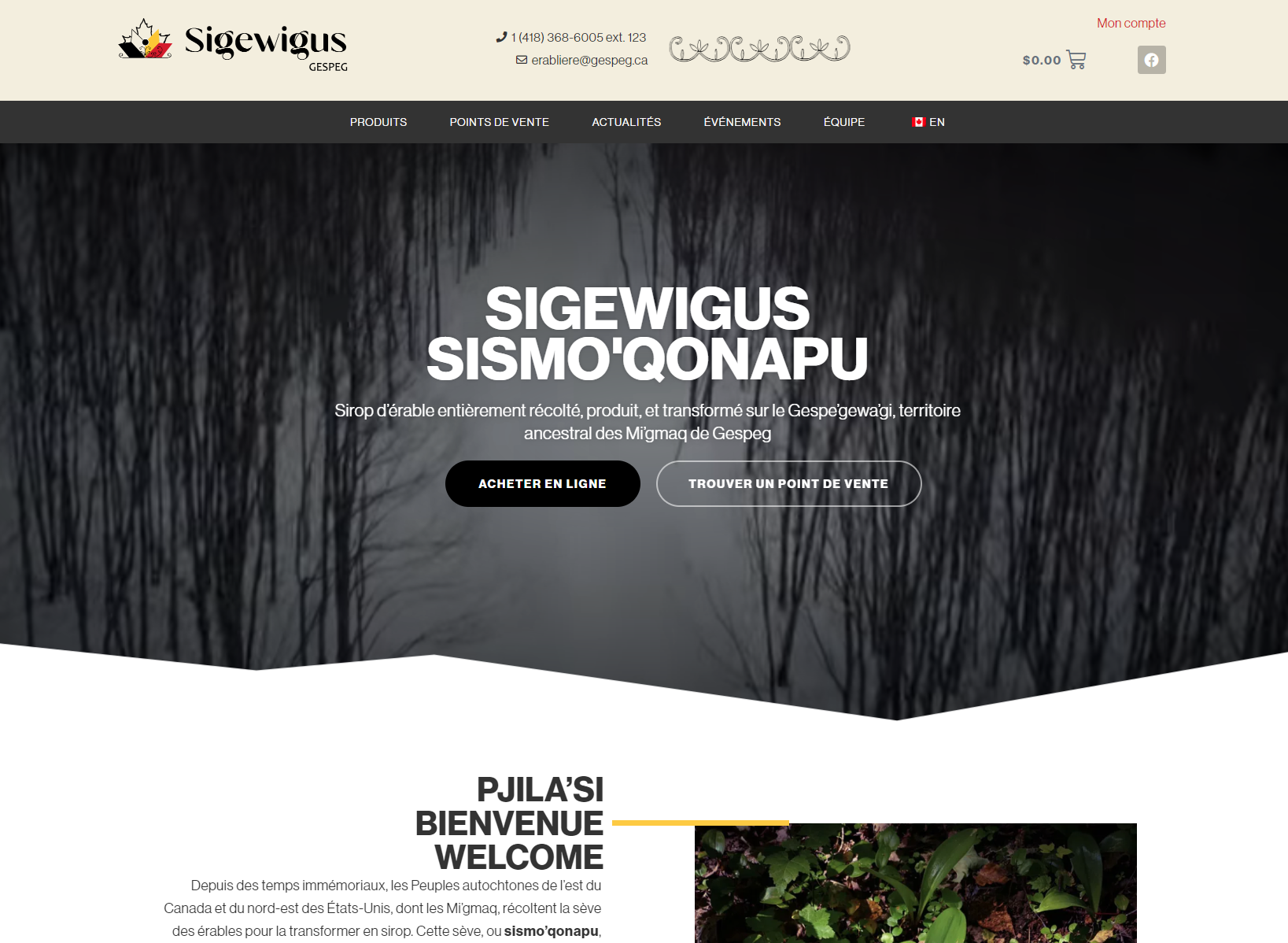 Capture d`écran du site web de Sigewigus, une erablière Réalisé par La Boîte FLEXIBLE