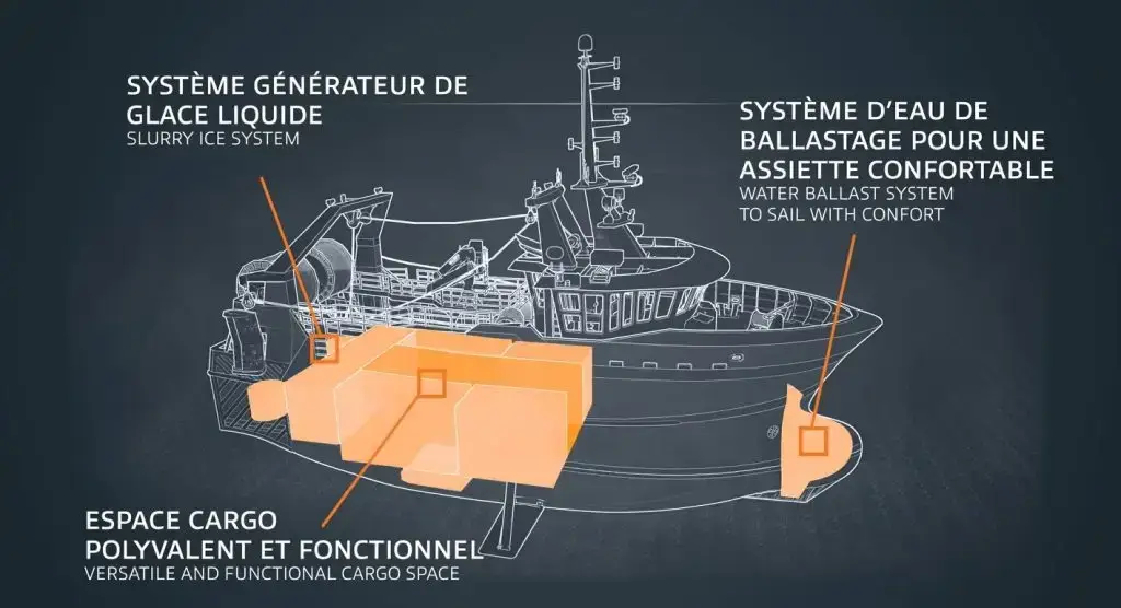 navanex-01-1024x556